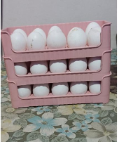 EGG STORAGE TRAY